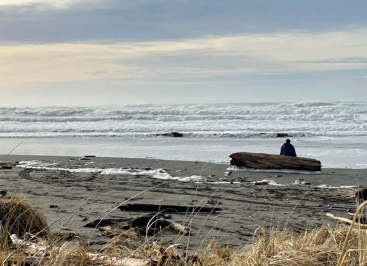 Person sitting on a large log looking out to the ocean on a cloudy day.